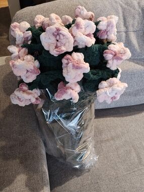 Meet your Posher, Terri Lynn